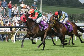 Indecision (NZ) claims third black-type win.